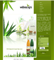 web design company portfolio