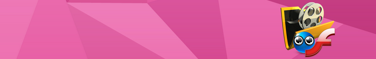 Flash Intros – Easy way to market your core concepts and services