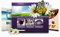 web design and development services