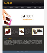 Web Design Company