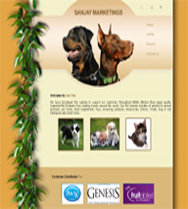web design company