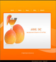 Web Design Companies